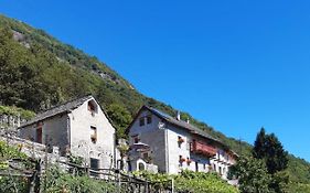 Ossola Dal Monte