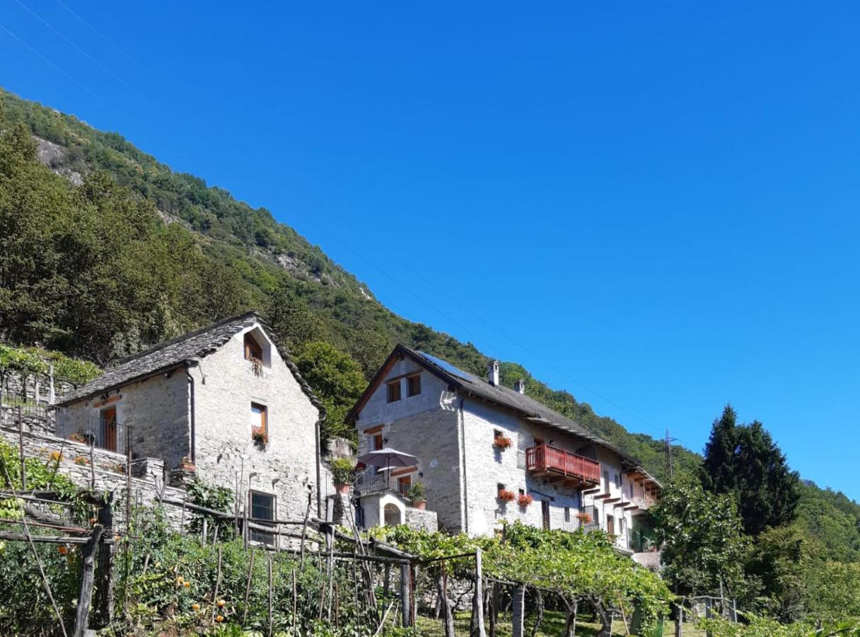 Hotel Ossola Dal Monte Crevoladossola Esterno foto